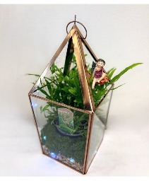 Enchanted Fern Fairy Terrarium House Plant