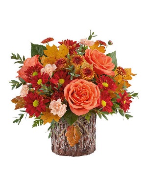 ENCHANTED FOREST ARRANGEMENT 