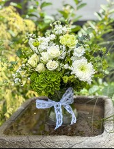 Enchanted Gardens  Cottage Garden Collection