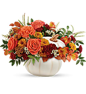 Enchanted Harvest DX Fall