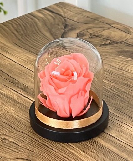 Enchanted Mini Dome Preserved Roses