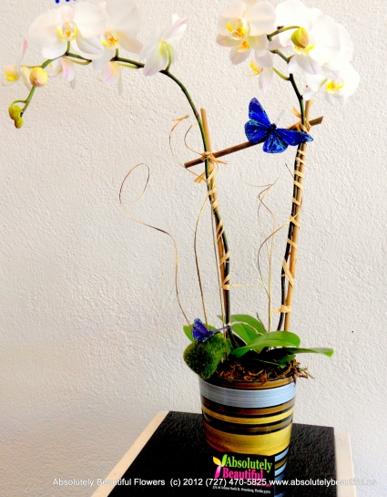 Enchanted Spring Time Butterflies Tropical Orchids