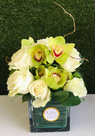 Enchanting Orchids Arrangement