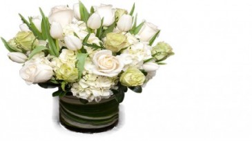 Enchanting White