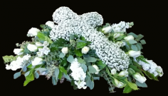 Category Image