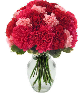 ENDLESS LOVE! CARNATIONS ONLY