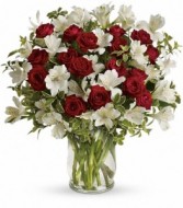 Red and White Christmas by Enchanted Florist of Cape Coral