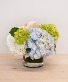 Endless Summer Simple vased arrangement of mixed hydrangea