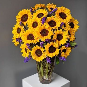 Endless Sunflowers Arrangement in Croton On Hudson, NY | Cooke's Little Shoppe Of Flowers