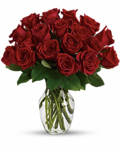 Category Image