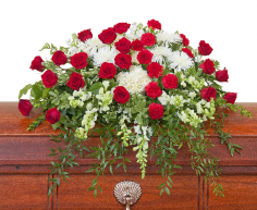 Category Image