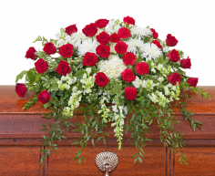 Category Image