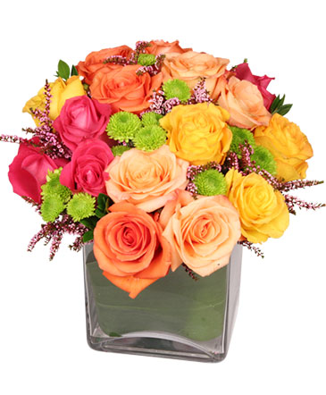 Energetic Roses Arrangement in South Milwaukee, WI | PARKWAY FLORAL INC.