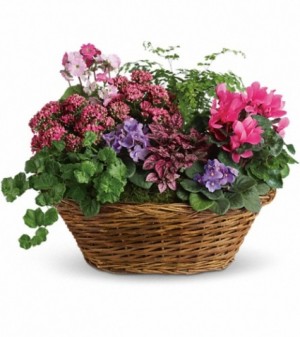 English Garden Basket EN-3P