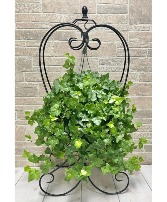 English Ivy Plant Stand  SHOP EXCLUSIVE
