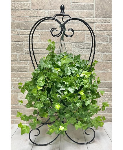 English Ivy Plant Stand  SHOP EXCLUSIVE