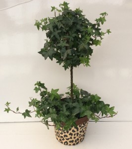 English Ivy Topiary