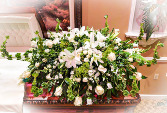Enlight of Love  Sympathy