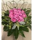 Entangled Love Roses Flower Arrangement