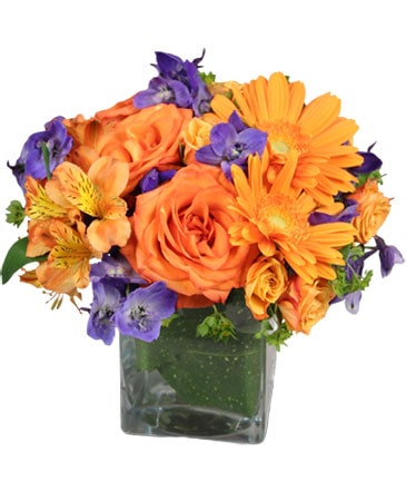 Enthusiasm Blossoms Bouquet in Coral Springs, FL | DARBY'S FLORIST