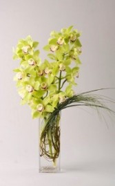 Enviably Green Vased Arrangement Modern