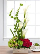 “Equilibrio Perfecto” Valentine 2026