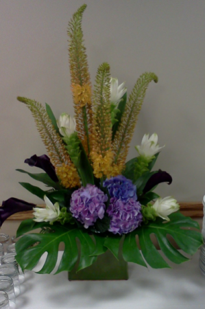 Eremurus, Hydrangea Funeral