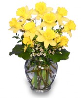 NARCISOS AMARILLOS Arreglo Floral