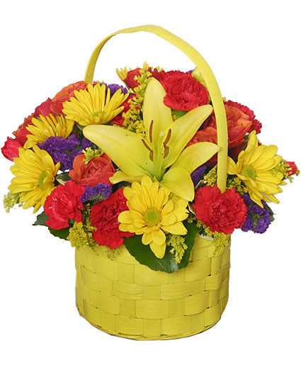 SOL BRILLANTE Arreglo Floral in Sanford NC TED S FLOWER BASKET