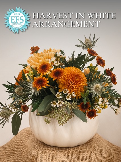 EFS's Harvest in White Ceramic Pumpkin Arrangement