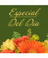 Especial Del Día Diseño Personalizado