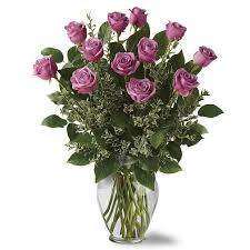 Lavender Roses