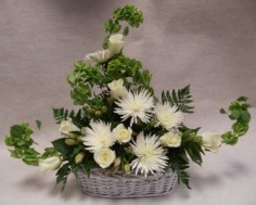 Category Image