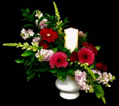 Category Image