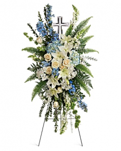 Category Image