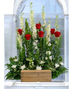 Category Image