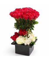 Eternal Red Rose Elegance Valentine’s Day
