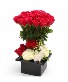 Eternal Red Rose Elegance Valentine’s Day