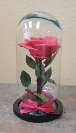 Eternal Rose