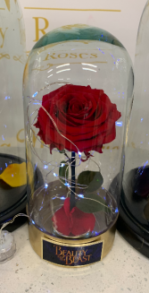 Eternal Roses Small Red Special Editon B&B Eternal Roses