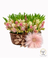 ETERNAL SPRING 