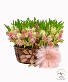 ETERNAL SPRING 