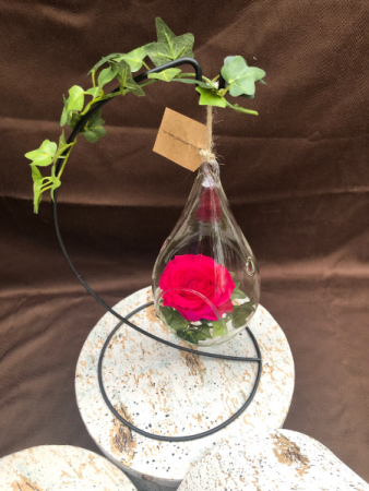 Eternity Rose
