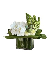 Ethereal Arrangement 