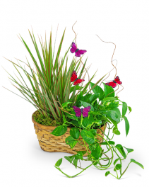Ethereal Garden Basket Flower Arrangement