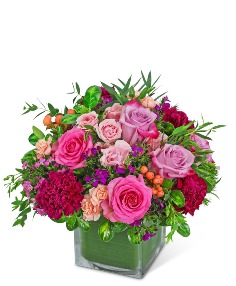 Category Image