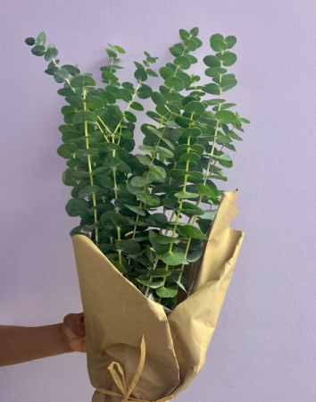 Eucalyptus Bunch Greenery
