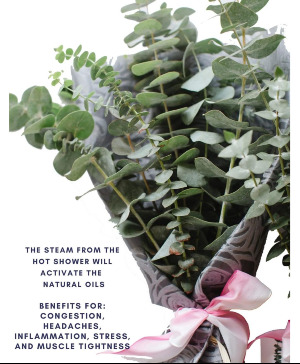 Eucalyptus Shower Bouquet