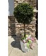 Purchase this funeral home arrangement