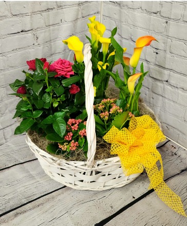 Euro Basket Potted Plants(plants & containers will vary) in Bryson City, NC | Village Florist